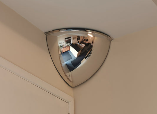 Interior Observation Mirror